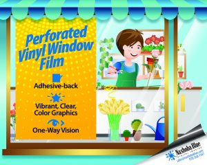 Window and Wall Graphics